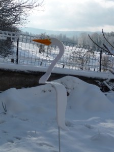 Intempéries et climat