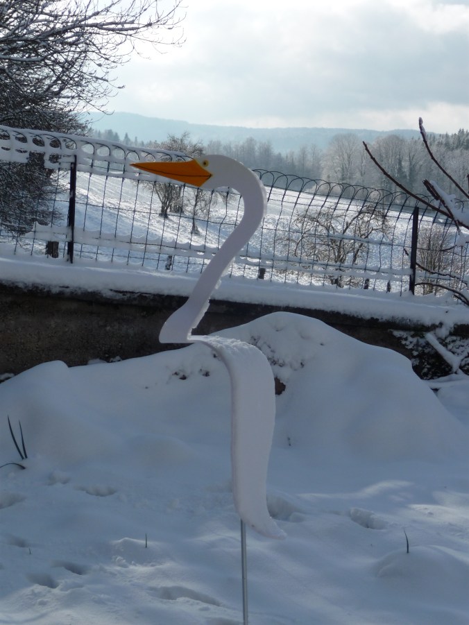 Intempéries et climat