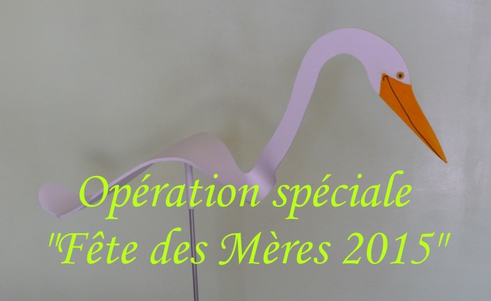 Fête des Mères 2015