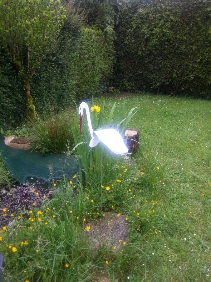 La première cigogne - Photo Jean-Pierre N.